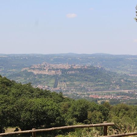 Agriturismo Fattoria Poggio Boalaio Orvieto Kültér fotó