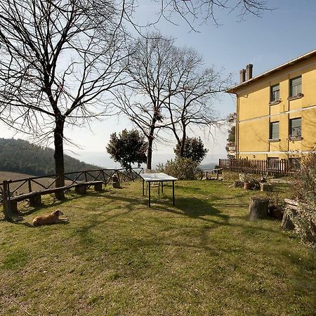 Agriturismo Fattoria Poggio Boalaio Orvieto Kültér fotó