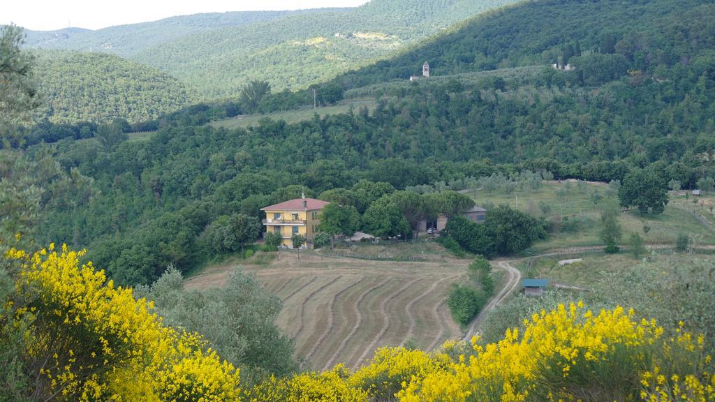 Agriturismo Fattoria Poggio Boalaio Orvieto Kültér fotó