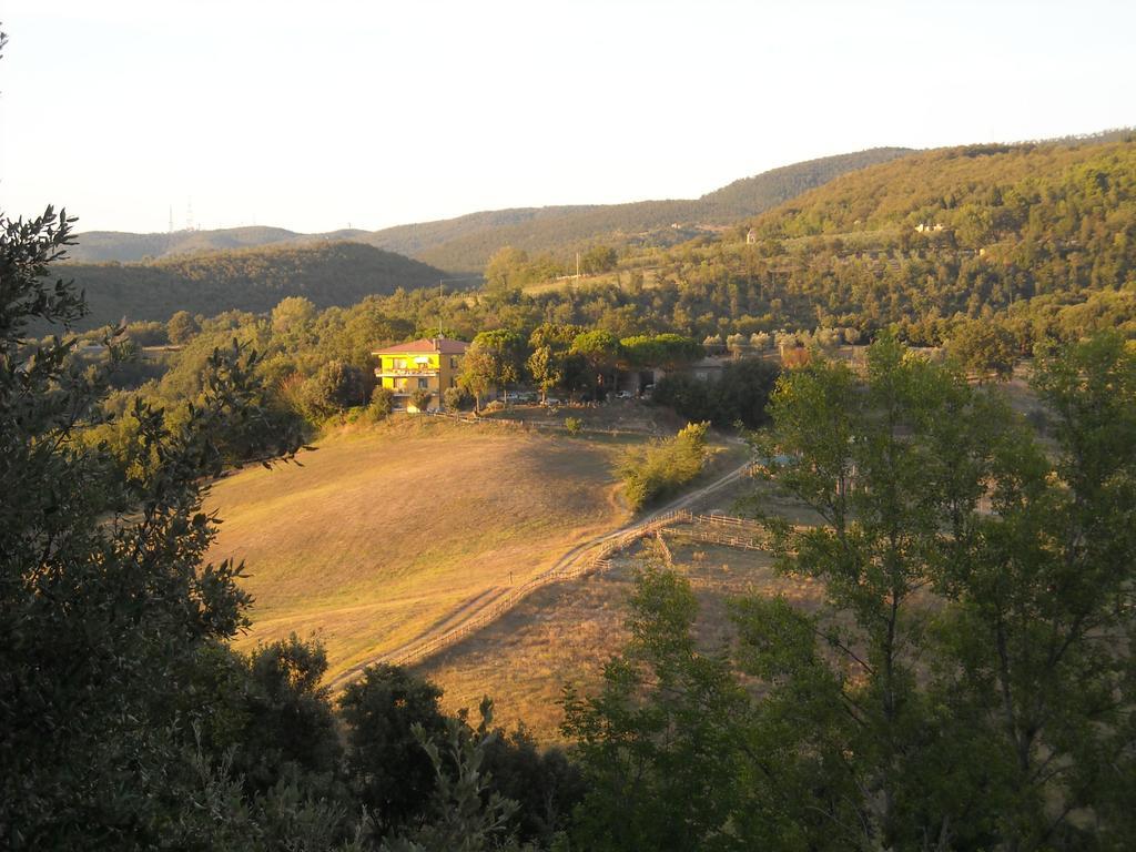 Agriturismo Fattoria Poggio Boalaio Orvieto Kültér fotó
