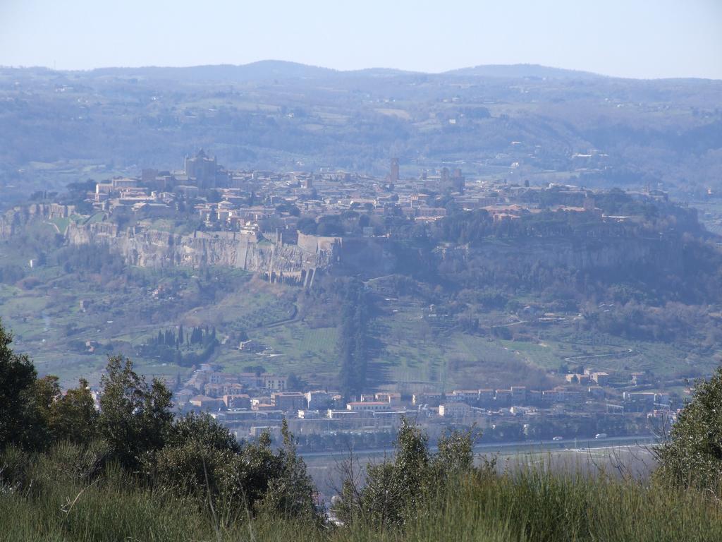 Agriturismo Fattoria Poggio Boalaio Orvieto Kültér fotó