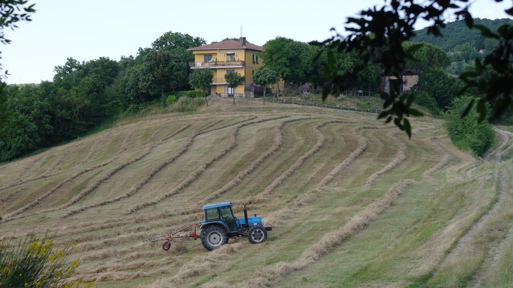 Agriturismo Fattoria Poggio Boalaio Orvieto Kültér fotó
