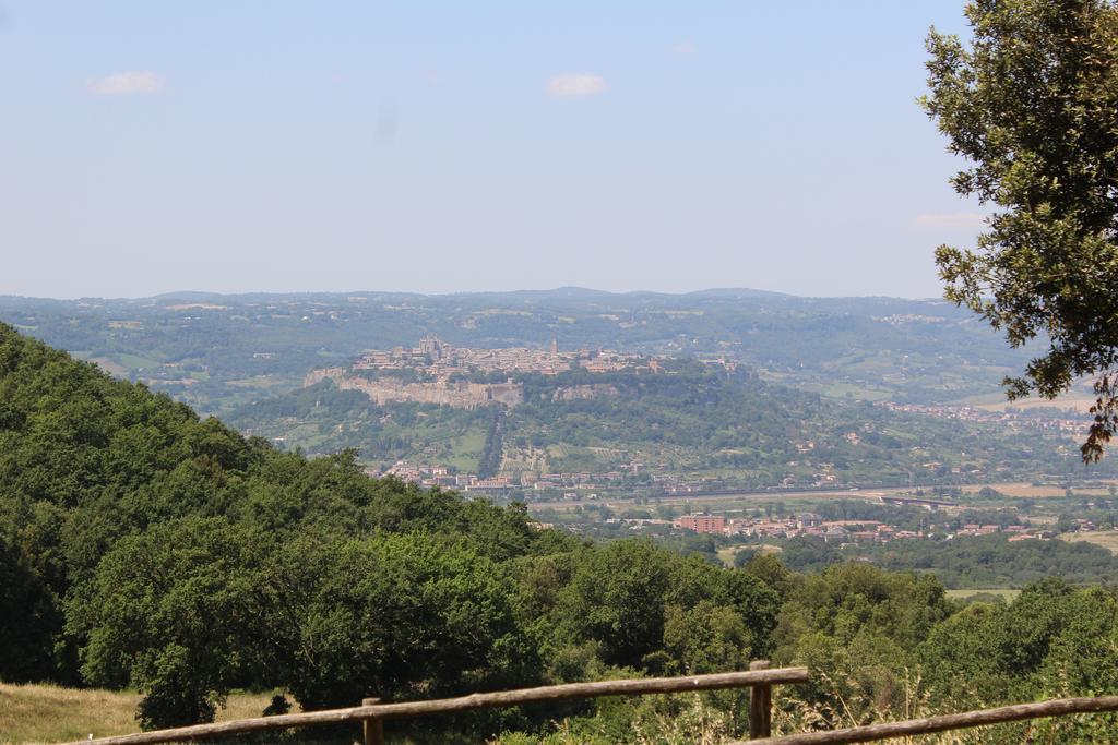 Agriturismo Fattoria Poggio Boalaio Orvieto Kültér fotó