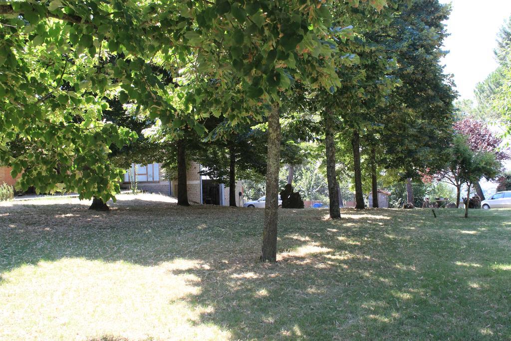 Agriturismo Fattoria Poggio Boalaio Orvieto Kültér fotó