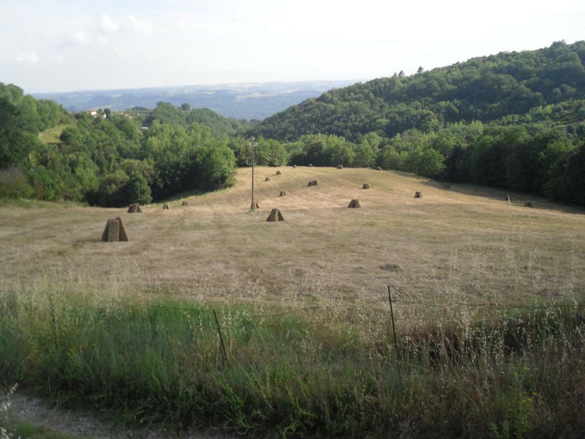 Agriturismo Fattoria Poggio Boalaio Orvieto Kültér fotó