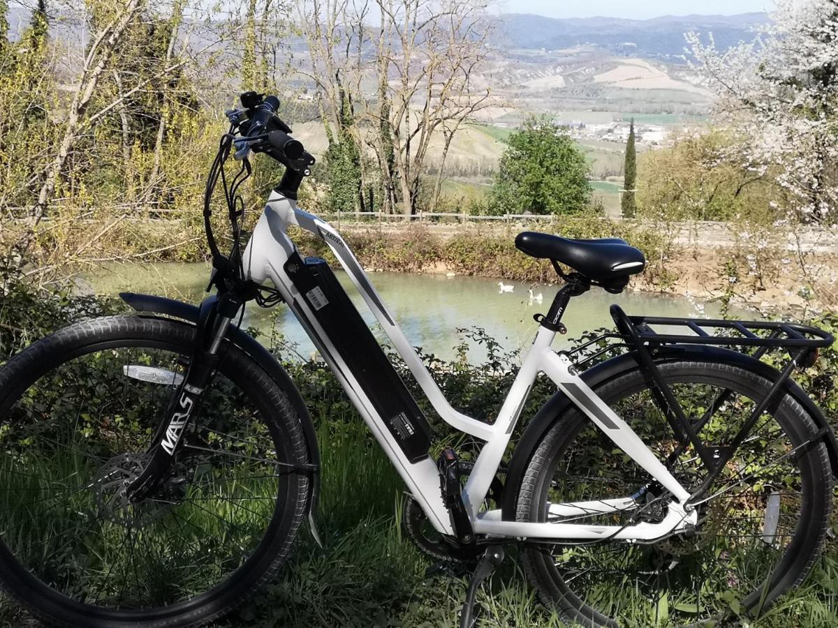 Agriturismo Fattoria Poggio Boalaio Orvieto Kültér fotó